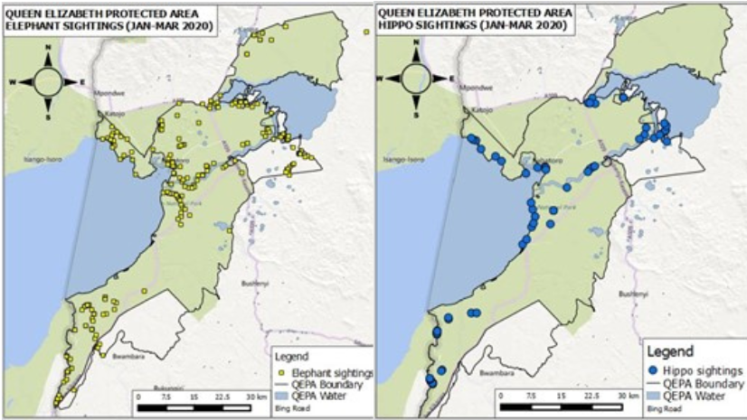 Queen Elizabeth National Park Wildlife Sighting/Distribution Maps And Patrol Tracklogs (sample)