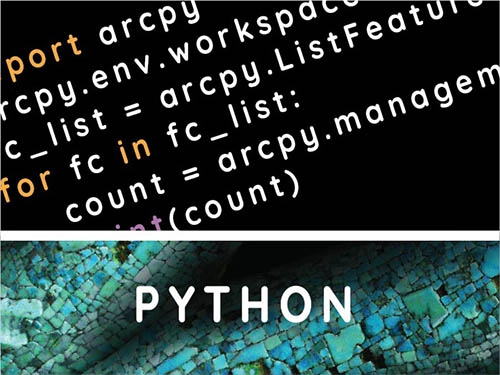 Use Python Scripting