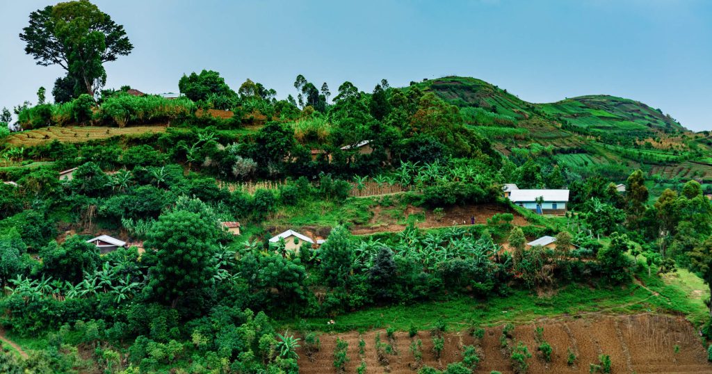 Uganda Flying Labs: Safeguarding Coffee Farmers Against Risk