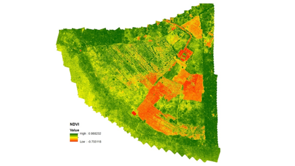 NDVI vegetation health map