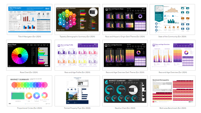 Discover the Infographics Gallery in ArcGIS Business Analyst