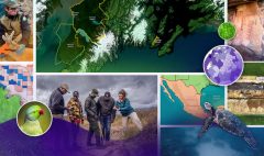 2024competition-interviews