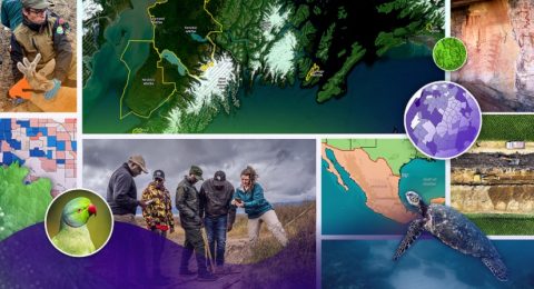 2024competition-interviews