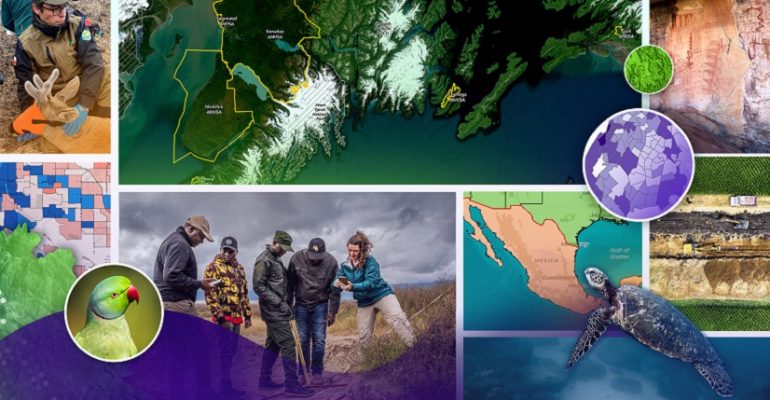 2024competition-interviews