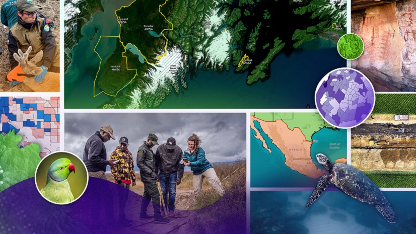 Your Path to Entering the 2025 ArcGIS StoryMaps Competition