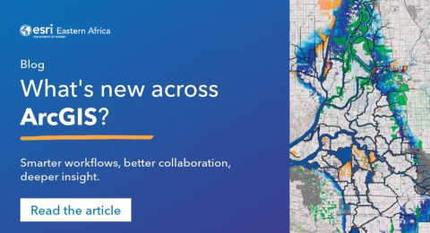 Untitled design (26)